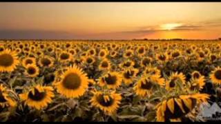 My Texas- Josh Abbott Band featuring Pat Green