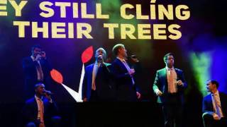 Straight No Chaser Chicago 12/17/16: To Christmas! (The Drinking Song)