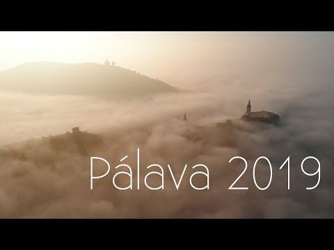 PÃ¡lava 2019 - YouTube