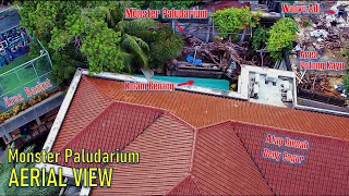 Monster Paludarium Deny Cagur - Aquair Indonesia | Sebuah Liputan - Part 1