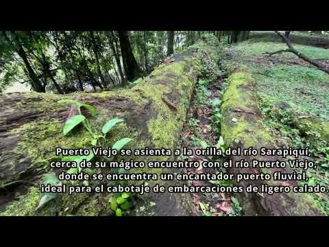 Imagen de Venta de Lotes y Terrenos en Puerto viejo - Sarapiquí Puerto Viejo - HEREDIA