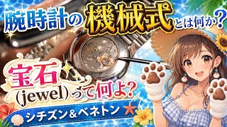 腕時計の機械式とは何か？宝石（jewel）入ってるの？シチズン&ベネトン What is a mechanical watch? And what are those "jewels" inside?