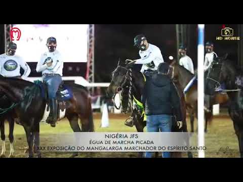 NIGÉRIA JFS (Elfo do Porto Azul x Jerusalem da Pedra Verde (Favacho Único))