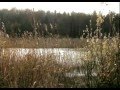 Над тёмной водой 
