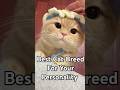 The Best Cat Breeds For Your Personality