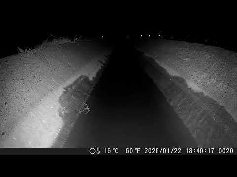 相較於傳統三面光U型溝渠，V型溝渠記錄到較高的動物種類與活動頻度，影片記錄鼠類跳躍V型溝渠，顯示其對野生動物移動更為友善