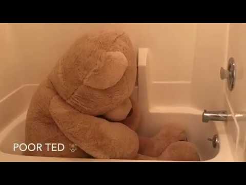 Cross Lakes Apartments - Island