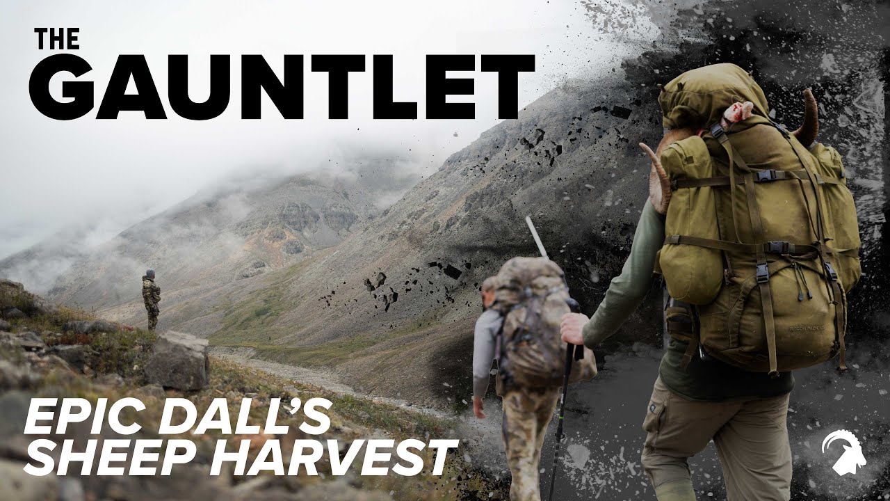 The Gauntlet | Epic Dall's Sheep Hunt in the Mackenzie Mountains