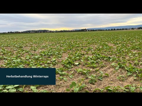 Pflanzenbau aktuell - AGRAVIS Niedersachsen-Süd GmbH