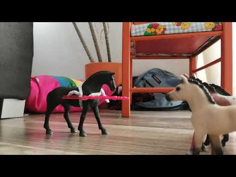 Schlich Serie für immer alleine #1 teil 2/2