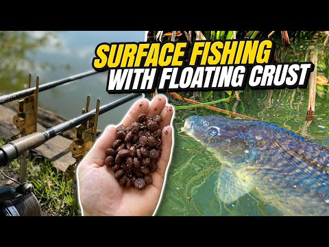 Surface fishing for BIG CARP | UK carp fishing with Ben Parker