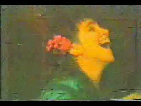 REVELION 1995 cu IOSIF si MARICICA