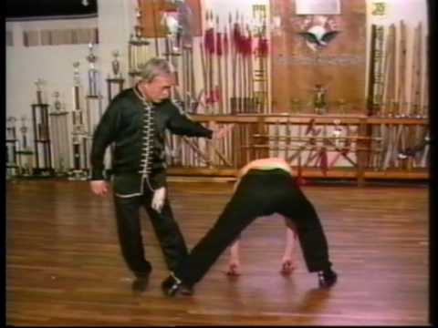 Kung fu demo 1 Eagle claw & Wu style Tai chi