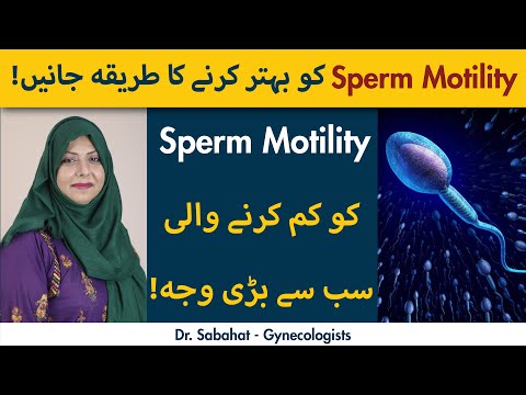 Sperm Motility Ko Behtar Karne Ka Tarika | How To Imrpove Sperm Motility?