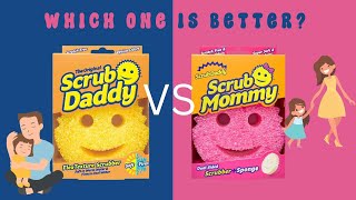 2 CENT TUESDAY - What Is All The Hype With Scrub Daddy and Mommy