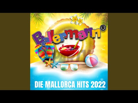 Einmal Richtig - DJ Düse