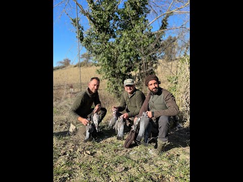 caccia-ai-colombacci: Caccia al colombaccio: una giornata al campo con gli amici di pianeta colombaccio