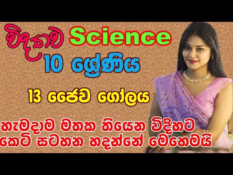 grade10 science lesson 13 short notes|short notes methods|science short notes sinhala medium