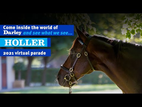 2021 Darley Australia Stallion Parade - Holler