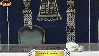 בית המדרש "תורת דוד" ¤ שידור חי ¤ ד' טבת תשפ"ו (24.12.2025) (מוסדות תורת דוד) - התמונה מוצגת ישירות מתוך אתר האינטרנט יוטיוב. זכויות היוצרים בתמונה שייכות ליוצרה. קישור קרדיט למקור התוכן נמצא בתוך דף הסרטון