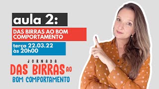Aula 2 - Das Birras ao Bom Comportamento