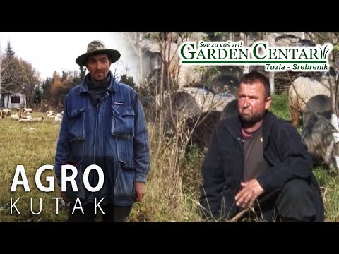 Agro Kutak 56 - Ovčarstvo na rubu propasti - 22.11.2016.