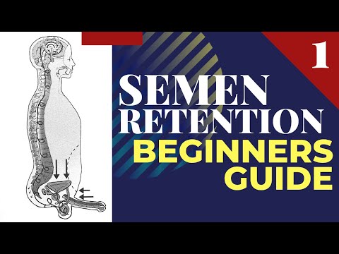 Semen Retention Beginner's Guide