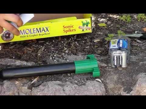 How to keep Chipmunks, Squirrels, Mice, Moles & Gopher...