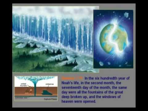 Kreation Evolution 02 Die globale Flut 1/7