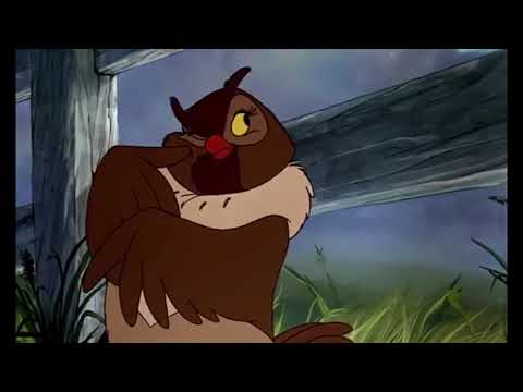 101 Wild Animals Part 7 - Wild Animalnappers