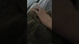 そろそろ秋ですね。皆様、いかがお過ごしでしょうか？僕は手首がちぎれそうです