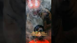 Download lagu STATUS WA HARIMAU mp3