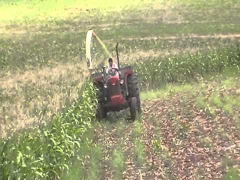 MF 95x fazendo silagem com pecus 9004