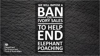 Our plans for banning ivory