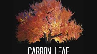 &quot;Miss Hollywood&quot; -Carbon Leaf