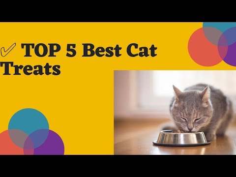 ✅ TOP 5 Best Cat Treats