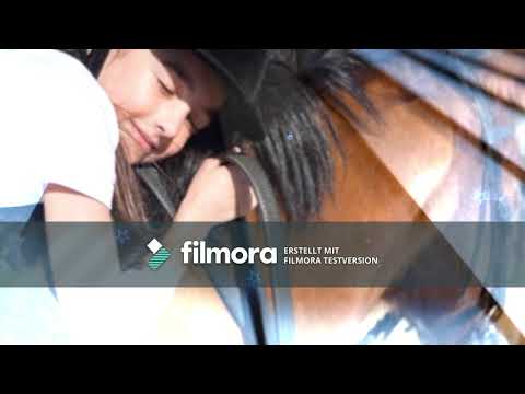 Urlaub mit Hund Reethaus am Meer eingezäunt ab 49 €/Nacht