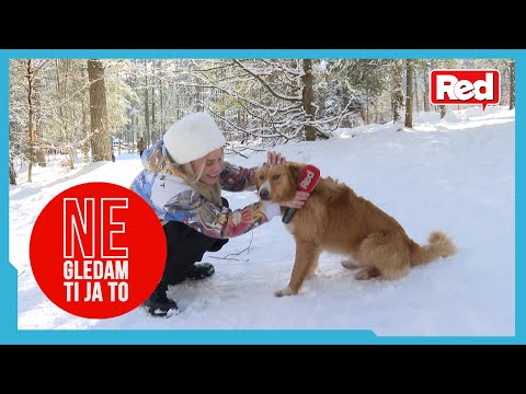 CG u BG: Akcija Crvenog krsta na Divčibarama - Ne Gledam Ti Ja To - 06.02.2023 - Red TV