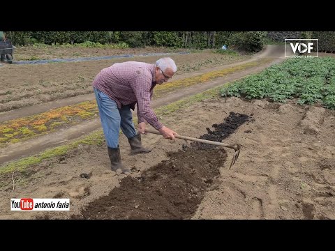 Story of my life with Fernando Silva (1st Episode)