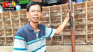 Download lagu BURUNG MASTERAN HARGA 50 RIBUAN ‼️ CUMA DI PASAR BURUNG SUKAHAJI BANDUNG OMBYOKAN MURAH mp3