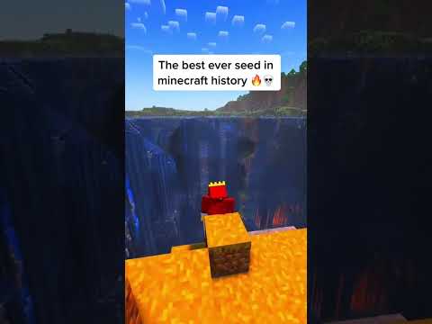 Best ever seed in minecraft history #shorts #minecraft
