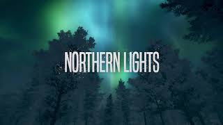 Northern Lights Steam Key GLOBAL