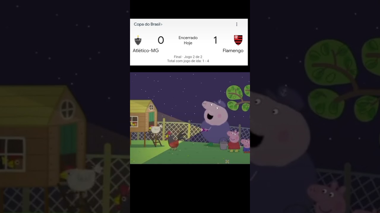 É FLAMENGOOOO! 🤷🏻‍♂️🖤❤👏🏻 #foryou #copabrasil #campeao #flamengo