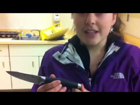 download lagu mp3 mp4 Spanish Cooking Supplies, download lagu Spanish Cooking Supplies gratis, unduh video klip Spanish Cooking Supplies