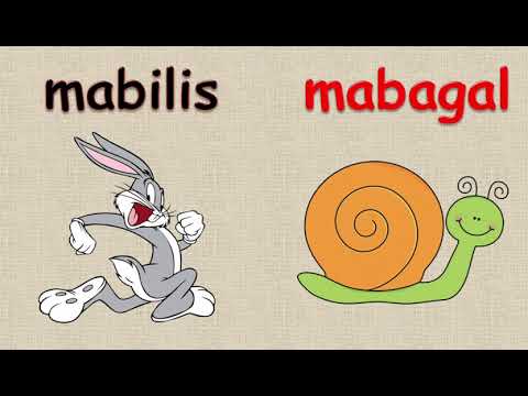 Mga salitang magkasalungat