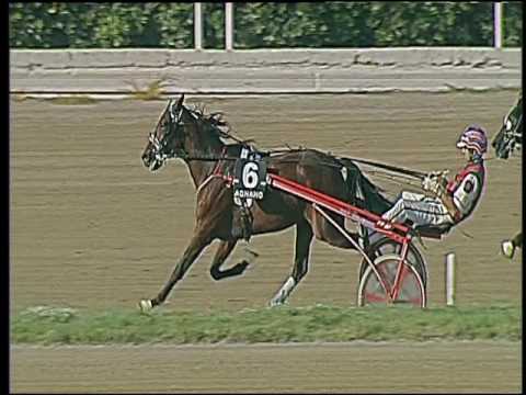 Trotto 30/09/2016 - 3ª corsa