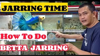 PAANO MAG JARRING NG BETTA | HOW TO DO BETTA JARRING