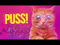 Extraterrestrial Doom PUSS Ost