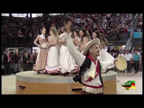 DTG PONCHO VERDE - PEDRO JÚNIOR DA FONTOURA - ENART - 2018