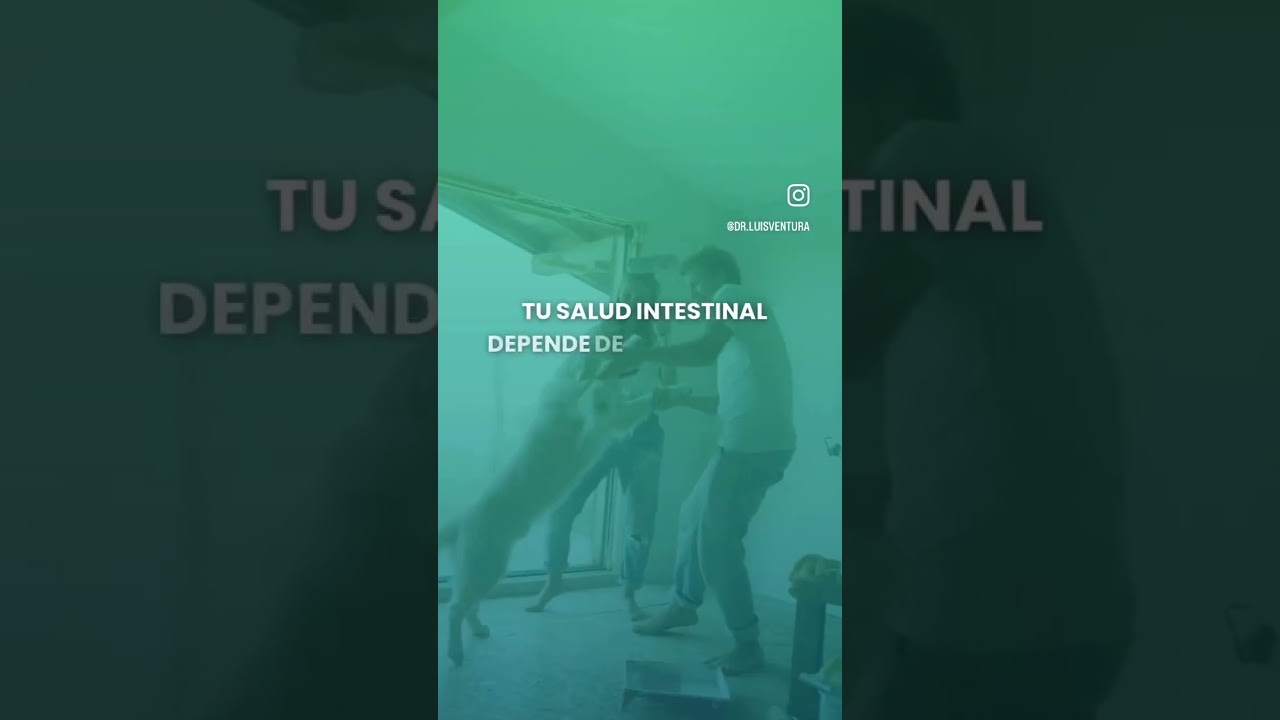 Luis Fernando Ventura Sánchez-13